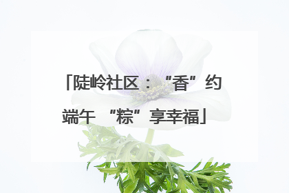 陡岭社区：“香”约端午 “粽”享幸福