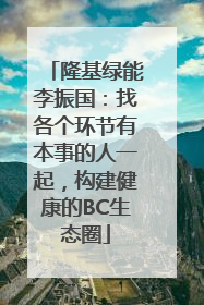 隆基绿能李振国：找各个环节有本事的人一起，构建健康的BC生态圈