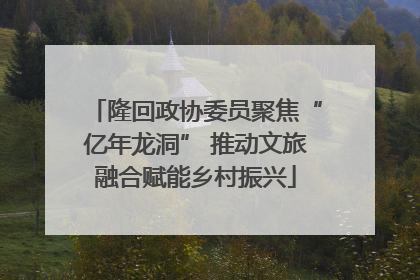 隆回政协委员聚焦“亿年龙洞” 推动文旅融合赋能乡村振兴