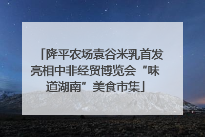 隆平农场袁谷米乳首发亮相中非经贸博览会“味道湖南”美食市集