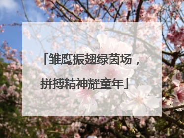 雏鹰振翅绿茵场，拼搏精神耀童年
