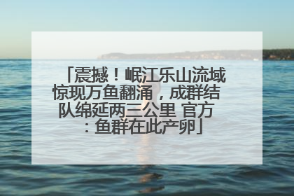 震撼！岷江乐山流域惊现万鱼翻涌，成群结队绵延两三公里 官方：鱼群在此产卵