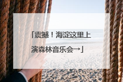 震撼！海淀这里上演森林音乐会→