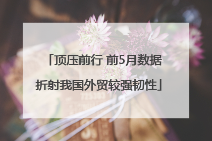 顶压前行 前5月数据折射我国外贸较强韧性