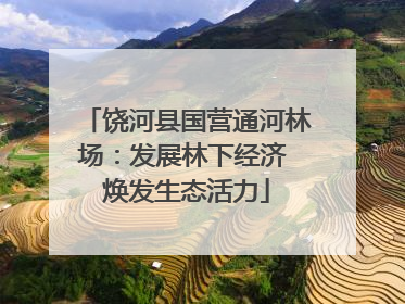 饶河县国营通河林场：发展林下经济 焕发生态活力