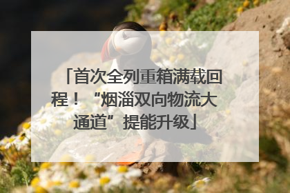 首次全列重箱满载回程！“烟淄双向物流大通道”提能升级