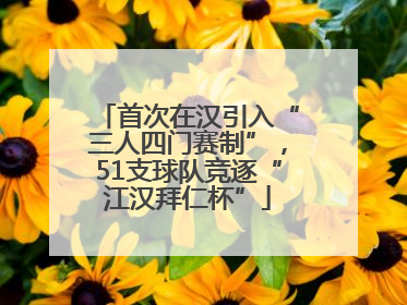 首次在汉引入“三人四门赛制”，51支球队竞逐“江汉拜仁杯”