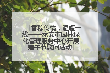 香粽传情，温暖一线——泰安市园林绿化管理服务中心开展端午节慰问活动