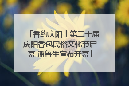 香约庆阳丨第二十届庆阳香包民俗文化节启幕 潘鲁生宣布开幕