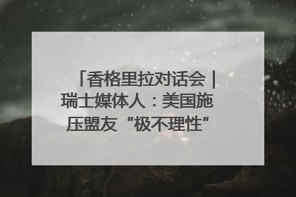 香格里拉对话会｜瑞士媒体人：美国施压盟友“极不理性” 欧洲国家无意与中国“脱钩断链”