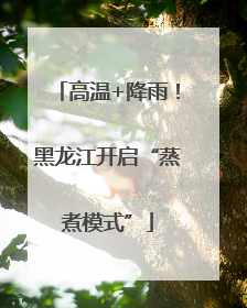高温+降雨！黑龙江开启“蒸煮模式”