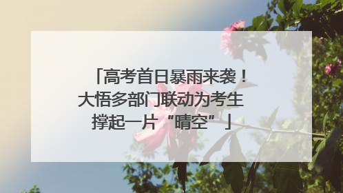 高考首日暴雨来袭！大悟多部门联动为考生撑起一片“晴空”