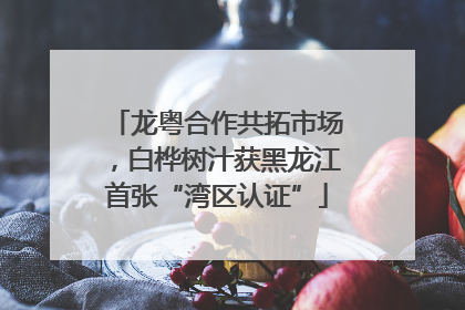 龙粤合作共拓市场，白桦树汁获黑龙江首张“湾区认证”