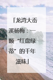 龙湾大岙溪杨梅：一颗“红盘绿蒂”的千年滋味