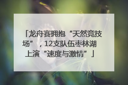 龙舟赛拥抱“天然竞技场”，12支队伍枣林湖上演“速度与激情”