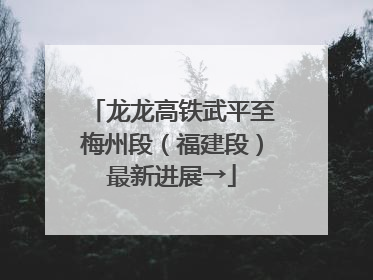 龙龙高铁武平至梅州段（福建段）最新进展→