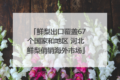 鲜梨出口覆盖67个国家和地区 河北鲜梨俏销海外市场