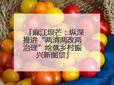 麻江坝芒：纵深推进“两清两改两治理”绘就乡村振兴新图景
