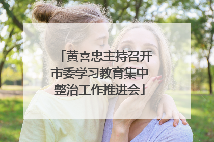 黄喜忠主持召开市委学习教育集中整治工作推进会