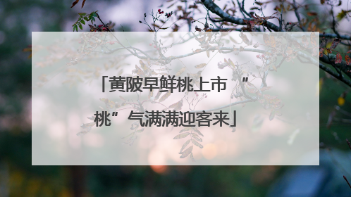 黄陂早鲜桃上市 “桃”气满满迎客来