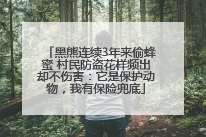 黑熊连续3年来偷蜂蜜 村民防盗花样频出却不伤害：它是保护动物，我有保险兜底