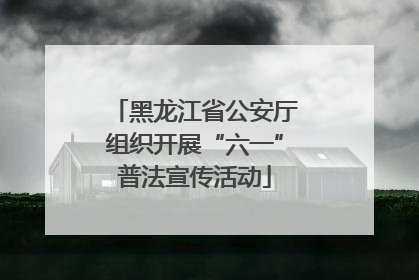 黑龙江省公安厅组织开展“六一”普法宣传活动