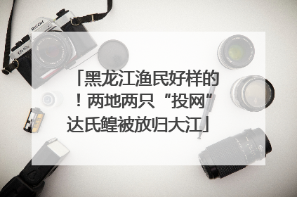黑龙江渔民好样的！两地两只“投网”达氏鳇被放归大江