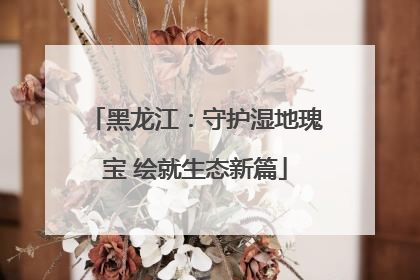 黑龙江：守护湿地瑰宝 绘就生态新篇