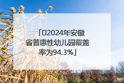 ﻿2024年安徽省普惠性幼儿园覆盖率为94.3%