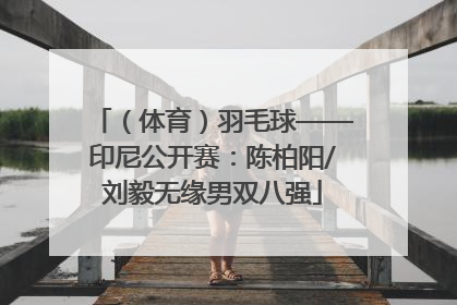 （体育）羽毛球——印尼公开赛：陈柏阳/刘毅无缘男双八强