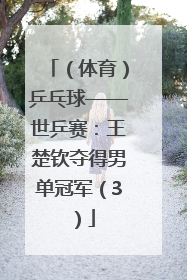 （体育）乒乓球——世乒赛：王楚钦夺得男单冠军（3）