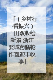 （乡村行·看振兴）一田双收绘新景 浙江婺城药膳轮作喜迎丰收季