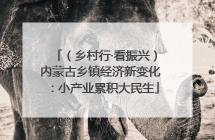 （乡村行·看振兴）内蒙古乡镇经济新变化：小产业累积大民生