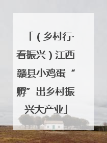 （乡村行·看振兴）江西赣县小鸡蛋“孵”出乡村振兴大产业