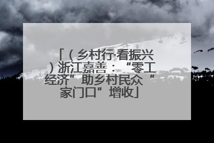 （乡村行·看振兴）浙江嘉善：“零工经济”助乡村民众“家门口”增收