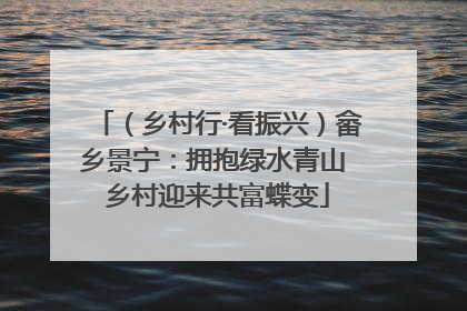（乡村行·看振兴）畲乡景宁：拥抱绿水青山 乡村迎来共富蝶变