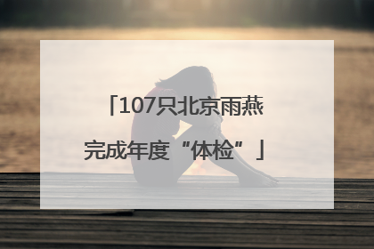 107只北京雨燕完成年度“体检”