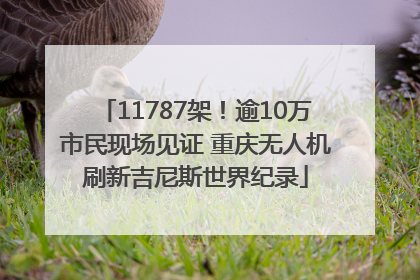 11787架！逾10万市民现场见证 重庆无人机刷新吉尼斯世界纪录