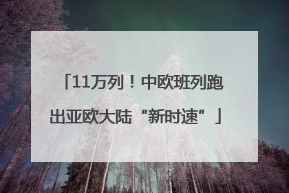 11万列！中欧班列跑出亚欧大陆“新时速”