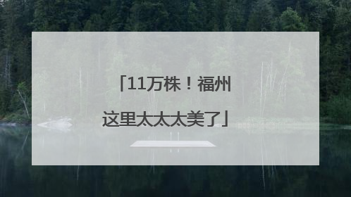 11万株！福州这里太太太美了