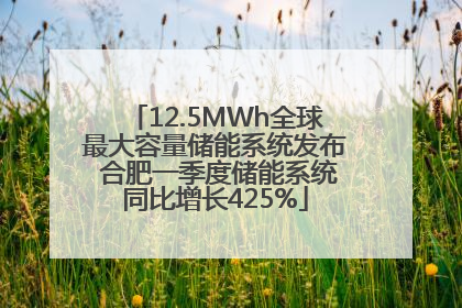 12.5MWh全球最大容量储能系统发布 合肥一季度储能系统同比增长425%