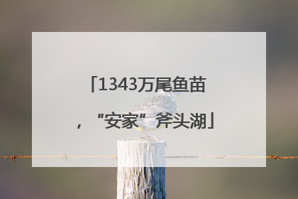 1343万尾鱼苗，“安家”斧头湖