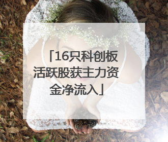 16只科创板活跃股获主力资金净流入