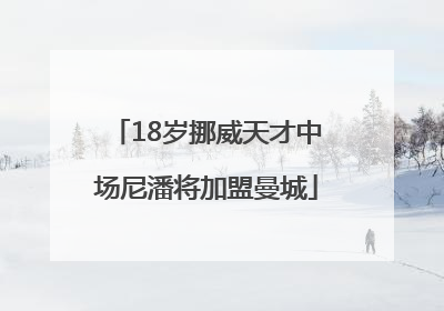 18岁挪威天才中场尼潘将加盟曼城
