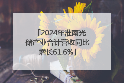 2024年淮南光储产业合计营收同比增长61.6%