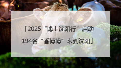 2025“博士沈阳行”启动 194名“香博博”来到沈阳