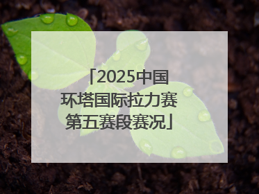 2025中国环塔国际拉力赛第五赛段赛况