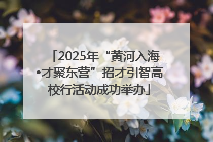 2025年“黄河入海•才聚东营”招才引智高校行活动成功举办