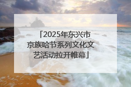 2025年东兴市京族哈节系列文化文艺活动拉开帷幕