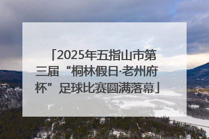 2025年五指山市第三届“桐林假日·老州府杯”足球比赛圆满落幕